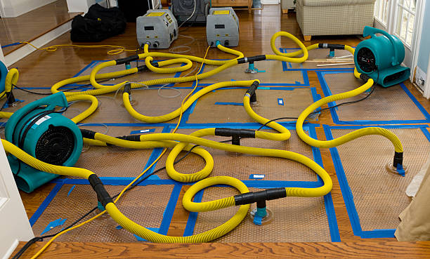 Professional Structural Drying And Dehumidification technician working in Moriches, NY